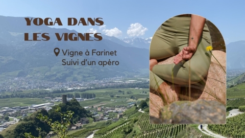 Yoga apéro à la vigne à Farinet – Saillon (VS)