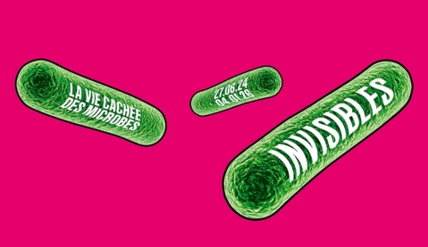 Expo « Invisibles. La vie cachée des microbes »
