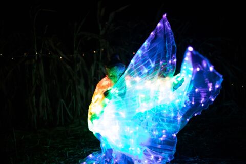 Nuit féerique dans le labyrinthe
