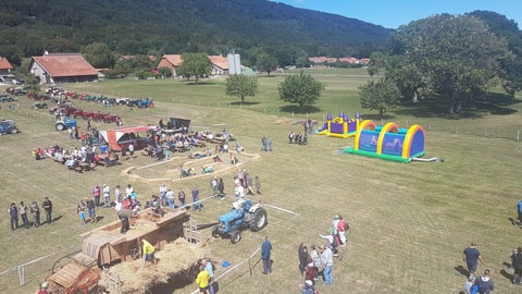 Rencontre des vieux tracteurs – Berolle (VD)