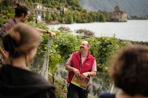 Visite guidée oenotouristique au Château de Chillon (VD)