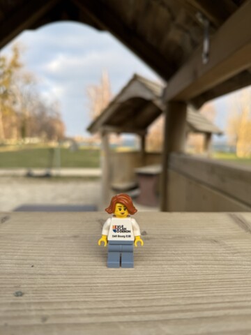 Exposition Lego inédite au Landeron