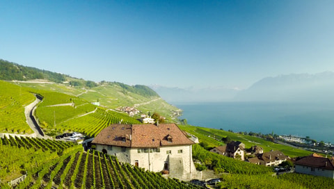 Une pause bourgeoise en Lavaux - Riex (VD)