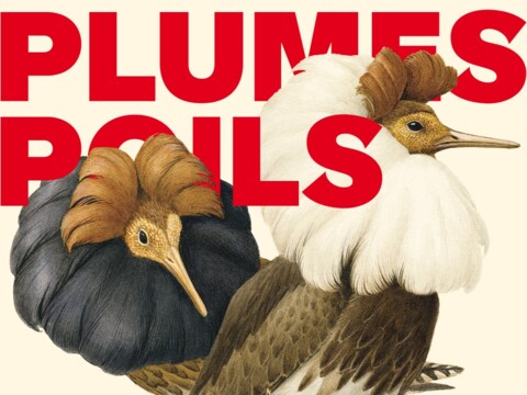 Expo « Plumes, Poils, Paul »