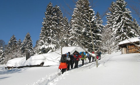 Raquettes au Petit Chasseral: immersion jurassienne