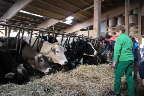 Goûter et visite à la ferme Morier