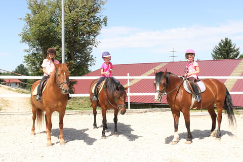 Camps d&rsquo;équitation Kà-Lanta à Vuadens (FR)