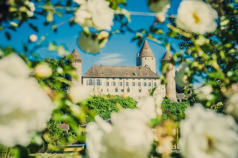 Festival des roses à Estavayer-le-Lac (FR)