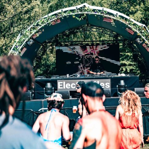 Electrozîles Festival