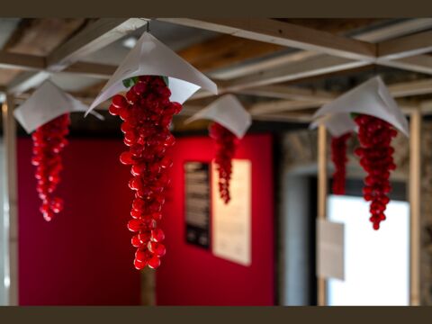 Exposition « Destination Vin » au Musée du vin à Sierre (VS)