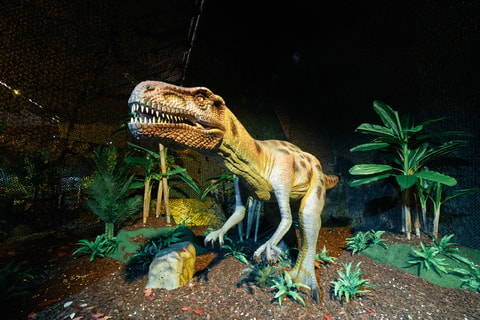 Dinos Alive – L’exposition à Lausanne