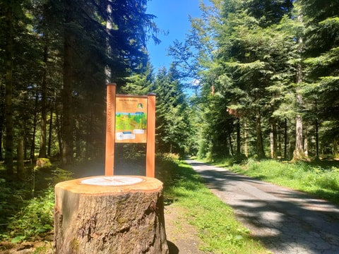 Parole de Brigande – Jeu de piste dans les bois du Jorat