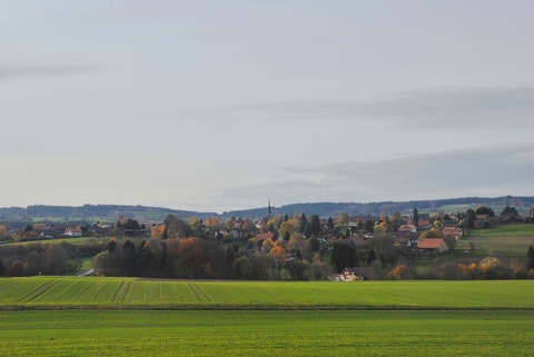 À la découverte de Mézières : terre fertile en culture(s)