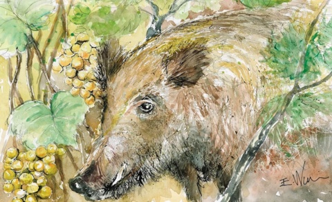 Rallye gourmand du vignoble genevois