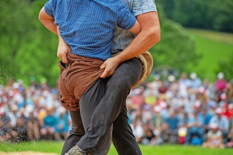 Fête fédérale de lutte et des jeux alpestres