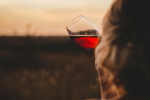 Atelier dégustation de vins sous hypnose