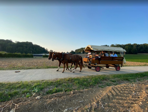 Tourisme équestre dans le Jura