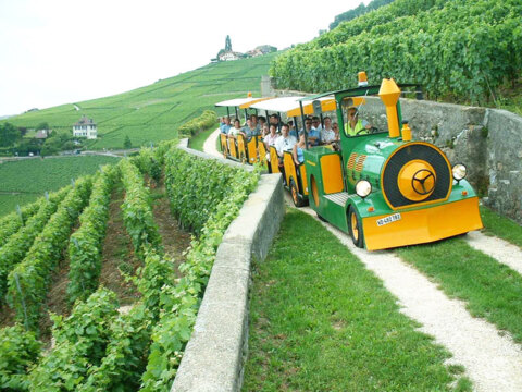 Lavaux Express