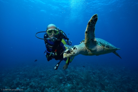 Deep Turtle