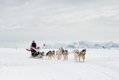 Chiens de traîneau – Glacier 3000