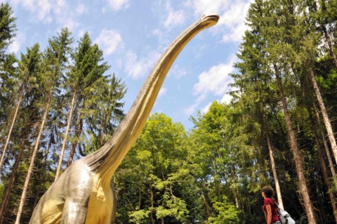 Dino-Zoo
