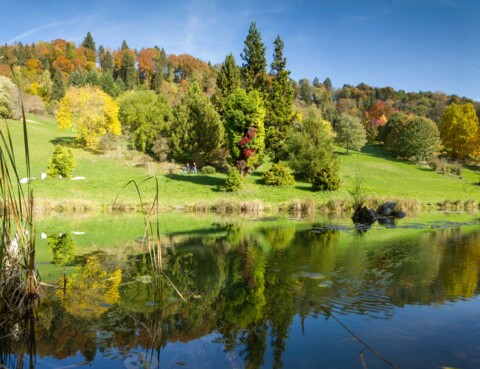 Arboretum du vallon de l&rsquo;Aubonne