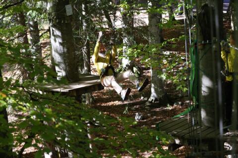 Forest Jump