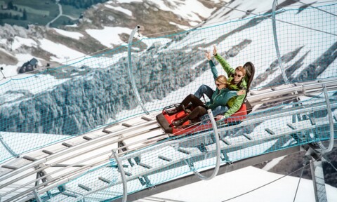 Alpine Coaster