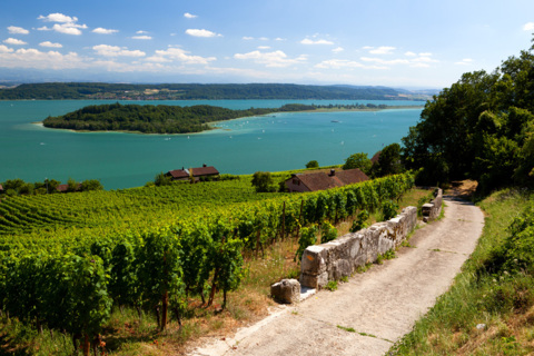 Île St-Pierre