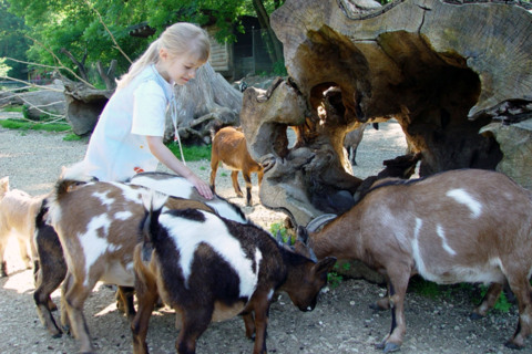 Seeteufel, parc animalier