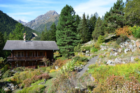 Jardin Botanique Alpin Flore-Alpe