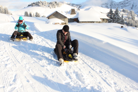 Luge et bob aux Paccots