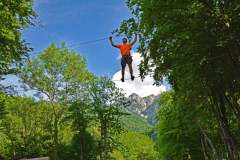 Léman Forest