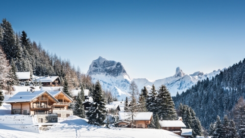 Morgins