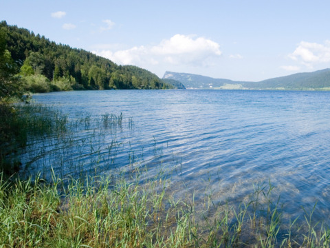 Vallée de Joux