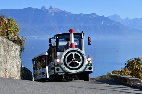 Lavaux Panoramic