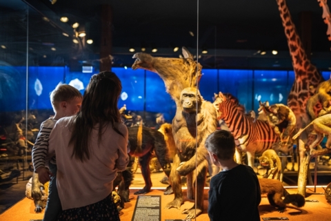 Muséum d&rsquo;histoire naturelle de Fribourg (MHNF)