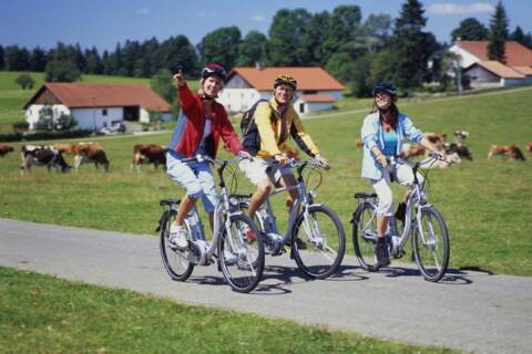 E-Bike Parc Jura