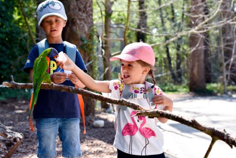 Parc des Oiseaux