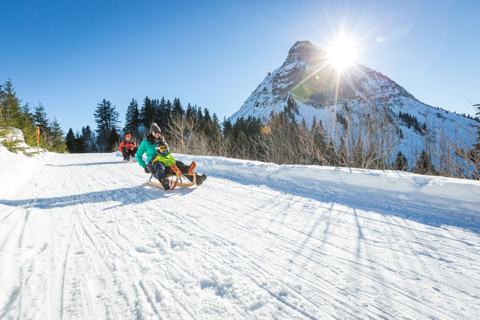 Piste de luge du Moléson