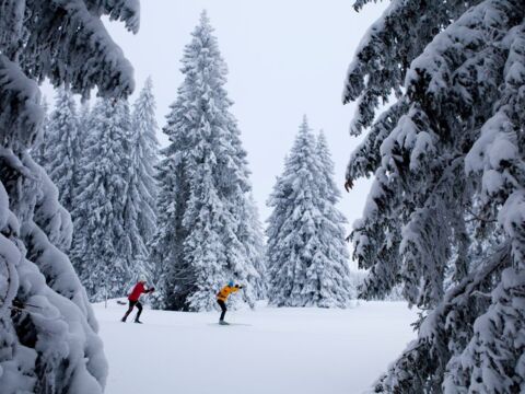 Ski de fond dans le Jura