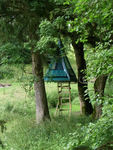 Bivouac dans les arbres