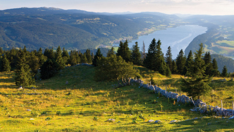 Parc naturel régional Jura vaudois