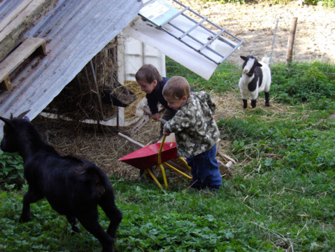 Ferme Les Biolles