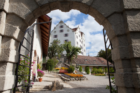 Château de Wildegg