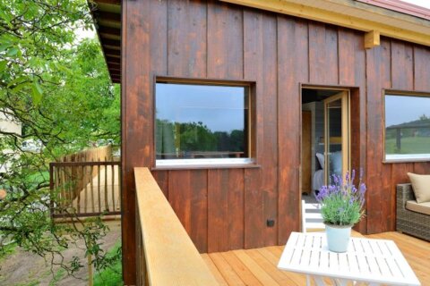 Cabanes dans les arbres