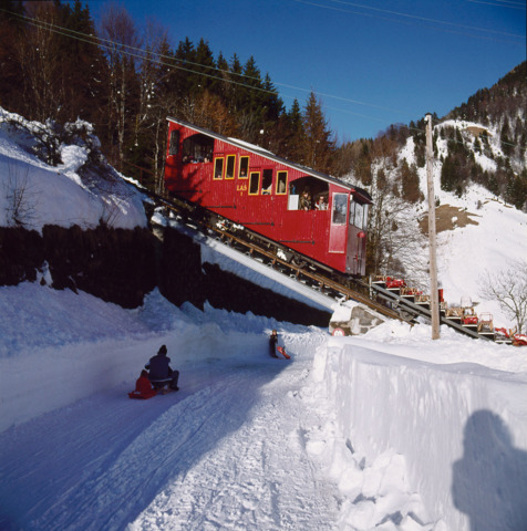 Piste de luge des Avants