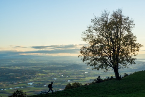 Sommet du Weissenstein (SO)