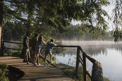 Etang de la Gruère