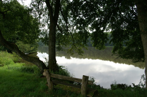 Etangs de Bonfol (JU)